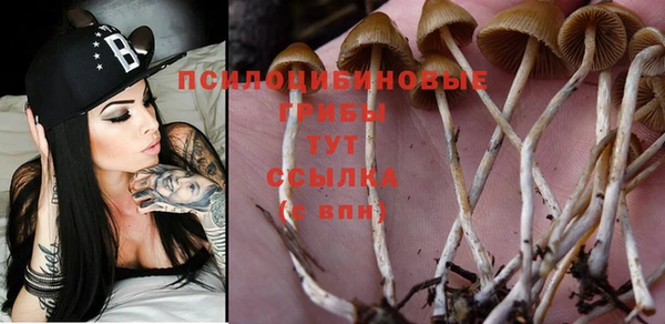 COCAINE Дмитровск
